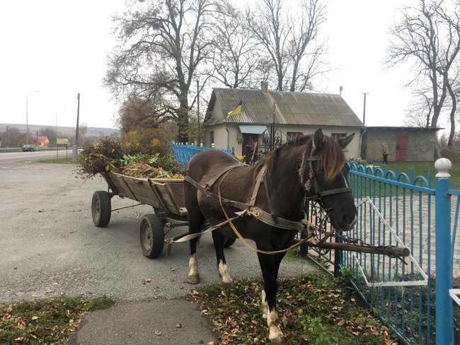 Храм розбрату: Віряни села на Рівненщині моляться в гаражі, доки триває війна церков 13