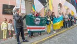 эстония посольство пикет рф таллин