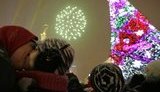 В этом году Киев навсегда попрощается с живой новогодней елкой
