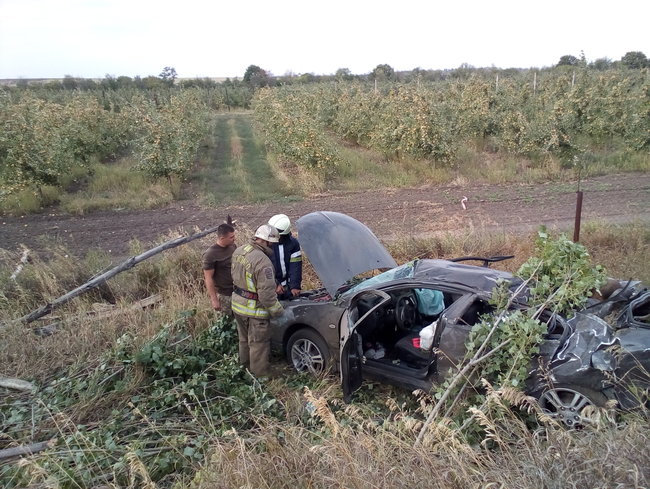 Легковик врізався в дерево на Донеччині - дві людини загинули 01