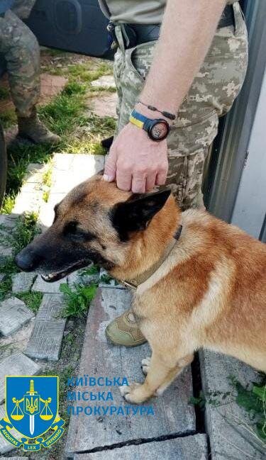 У Києві чоловік застрелив бельгійську вівчарку ветерана АТО