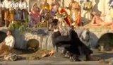 Итальянская полиция задержала активистку Femen, оголившуюся во время мессы Папы Римского. ВИДЕО