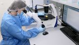 Health Ministry expects supplies of Ukrainian PCR tests to begin next week