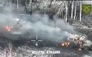 Destruction of enemy column