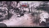 окупанти,синьківка