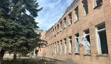 борова