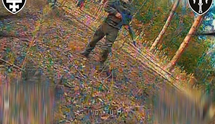 SIGNUM ліквідували 3 окупантів, що "заблукали" в лісі на Лиманщині. ВIДЕО