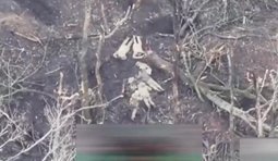 розстріл полонених