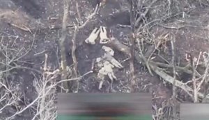 ГОС подтверждает расстрел оккупантами 4 пленных воинов во время "перемирия" на Харьковщине. Начато досудебное расследование