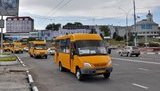 Пригородное и междугородное сообщение планируем возобновить 12 мая, - Криклий