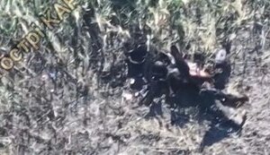 In Donetsk Oblast, body of Russian invader became food for crows. VIDEO