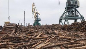 Кабмин уполномочил Минэкономразвития на консультации с ЕС по спору о лесе-кругляке