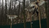 межигорье