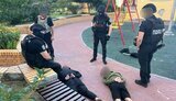 нападники