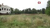 Полиция Киевщины купила гектар земли возле озера в Буче за 2 тыс. грн, - СМИ. ВИДЕО