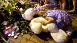 Гибель рейса MH17: сможет ли горе остановить войну?