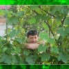 Слава Сапожников