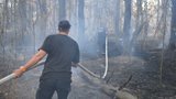 Лісову пожежу у військовому лісгоспі на Чернігівщині ліквідовано, - ДСНС