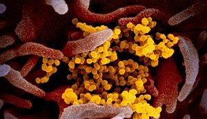 Ukraine reports 4,348 new coronavirus cases