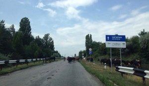 Омелян проинспектировал дороги из Днепра в Киев: "Ям нет, потому что и дороги нет". ФОТОрепортаж