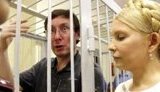 Луценко: Логика у Януковича необъяснима, как у осьминога Пауля, который всегда хватал щупальцами где надо. ВИДЕО.