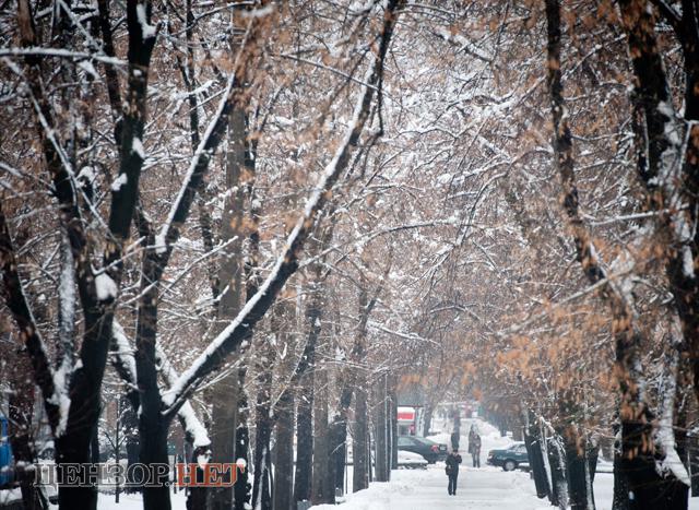Цензор.НЕТ Изображение