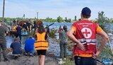 снигурівка