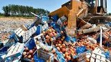 россия,продукты