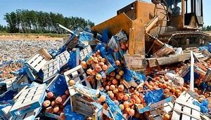 Россия продлила продовольственные контрсанкции до конца 2020 года. ДОКУМЕНТ