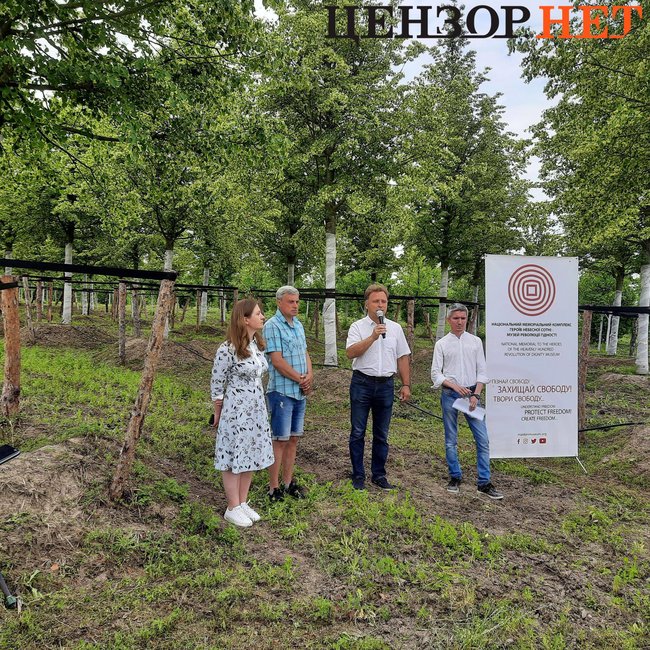Липи, призначені для майбутнього меморіалу Небесної Сотні, цвітуть у розсаднику під Києвом 02