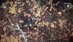 Бойцы 66 бригады поразили дронами оккупанта, который затем выстрелил себе в голову