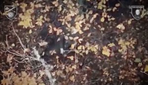 После двух ударов дронов 66-й ОМБр оккупант выстрелил себе в голову. ВИДЕО