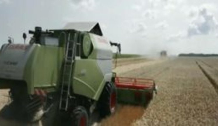 Grow Ukraine: New video about Ukrainian rural sector produced by Agrarian Policy Ministry. VIDEO