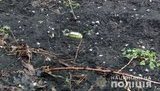 У дворі приватного будинку на Донеччині стався вибух, невідомий кинув гранату, - Нацполіція. ФОТОрепортаж