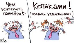 Лекарство от паники
