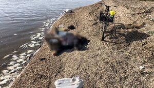 нікопольщина