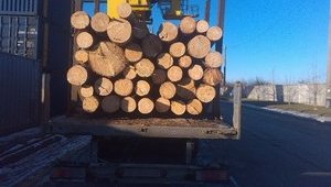 Фискальная служба проверит 235 экспортеров древесины