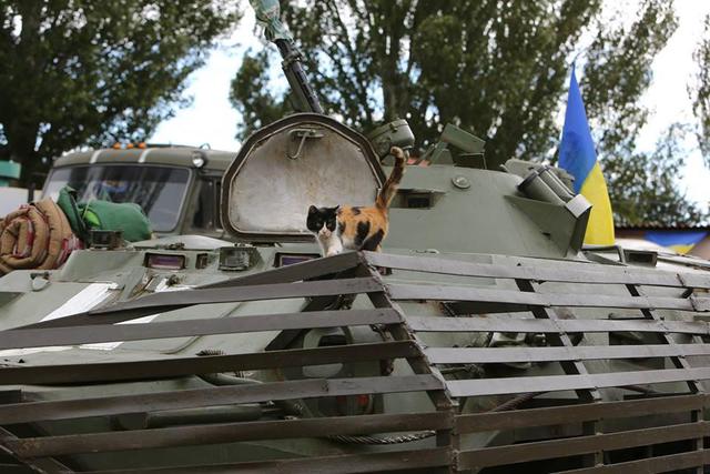 армия ато