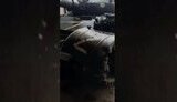 трофей,т62