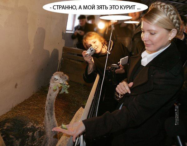 Юля: странно, а мой зять это курит...