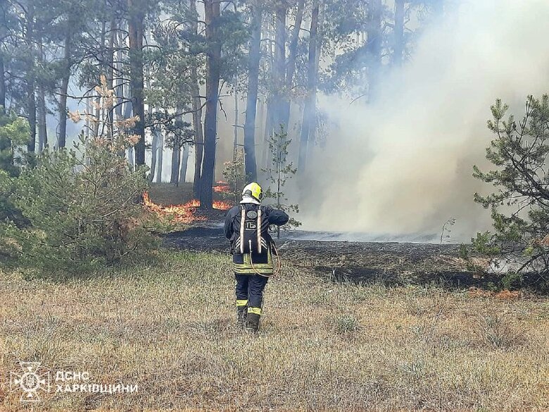 пожежі на Харківщині