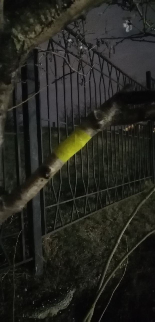 We are waiting for AFU!: Yellow Ribbon activists draw Russian symbols in Sevastopol and Feodosia and remind that Crimea is Ukraine 04