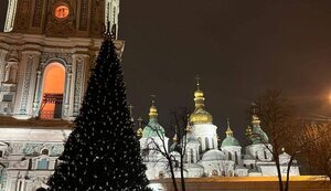 На Софийской площади в Киеве установили новогоднюю елку. ФОТО