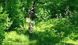 сумщина,рф,армія