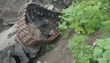 бмд,знищення
