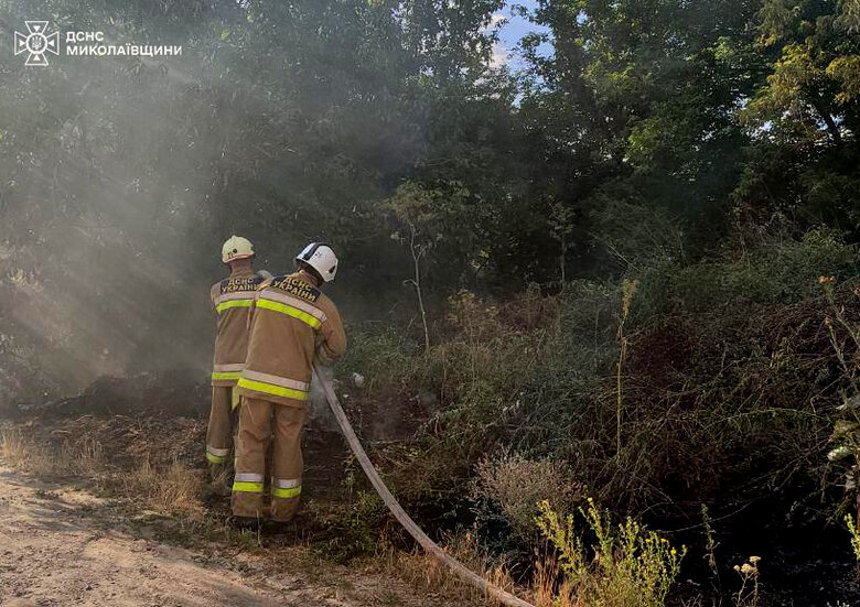 fires in the Mykolaiv region