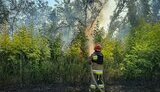Наслідки обстрілу Миколаївщини 26 серпня