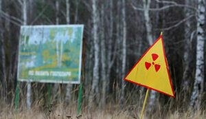 Russian soldiers who dug in Red Forest in Chornobyl zone did not survive - Mayor of Varash Menzul