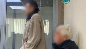 Конфлікт агресивних пенсіонерів з волонтеркою – суд визнав обвинувачених винними у хуліганстві