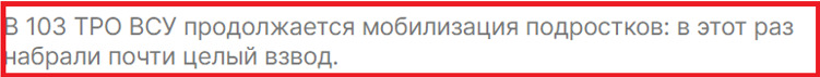 Роспропаганда распространяет фейк о мобилизации несовершеннолетних детей-сирот в Украине 03